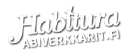 abiverkkarit.fi