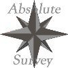 absolutesurvey.co.uk