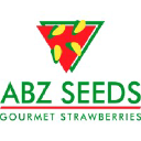 abz-strawberry.com