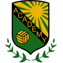 academyvolley.com