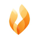 accelerant group