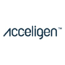 acceligen.com