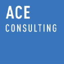 aceconsulting.pt