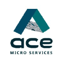 Ace Micro Services in Elioplus
