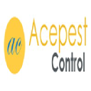 acepestcontrol.com.au