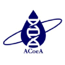acoea.com