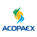 acopaex.es
