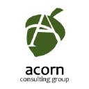acornconsultinggroup.com