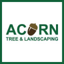 acorntreeandlandscape.com