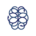 AcroViz Inc.