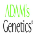 adamsgenetics.com