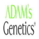 Adam's Genetics