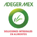 adegermex.com.mx