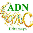 adnuchumayo.com