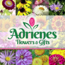Adrienes Flowers & Gifts