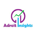 adroitinsights.com