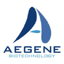 aegenebiotech.com