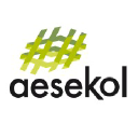 aesekol.com