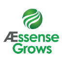 AEssense Inc