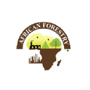 african-forestry.org
