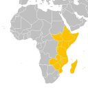 Eastern African Archaeology Online