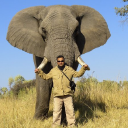 AfricanMecca Safaris & Tours