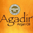 Agadir Logo