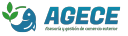 agecesac.com