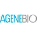 lifebiosciences.com