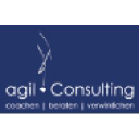 agil-consulting.de