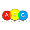 agile-consultinggroup.com