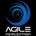 agileperception.com