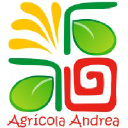 agricolaandrea.com