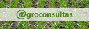 agroconsultasonline.com.ar