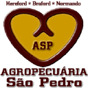 agropecuariasaopedro.com.br