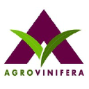 agrovinifera.com