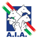 aia.it