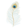 Akaal Spinal Flow