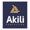 akili-consulting.com
