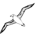 albatrosscarpentry.com