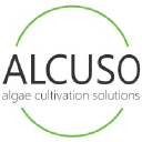 alcuso.com