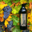 alexandrianicolecellars.com