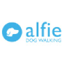 Alfie LLC