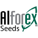 Alforex Seeds LLC