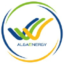 algaenergy.com