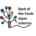 algaesciences.com