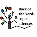 Back of the Yards algae sciences