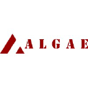 algaeservices.co.in