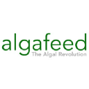 Algafeed