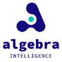 algebraintelligence.com